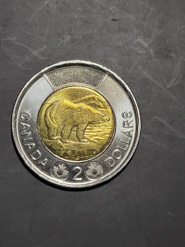 2024 Toonie - photo 2