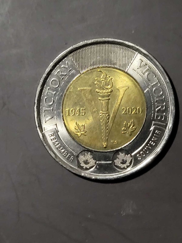 2020 Toonie