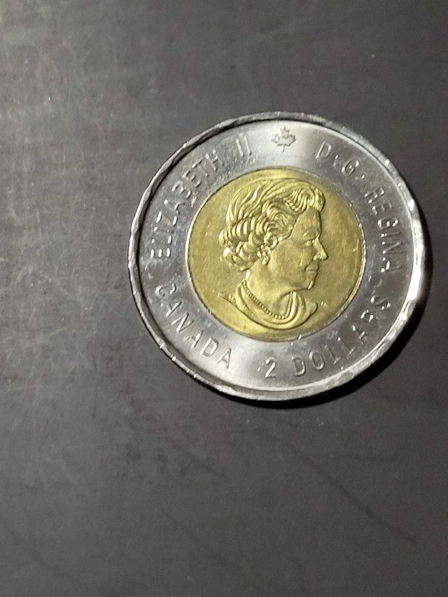 2020 Toonie - photo 2