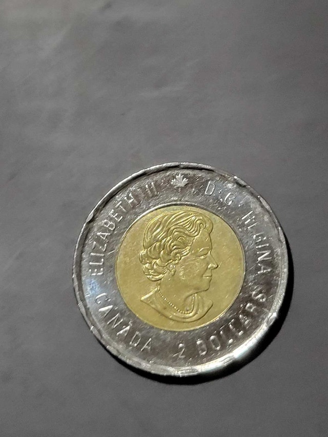 2018 Armistice Toonie - photo 2