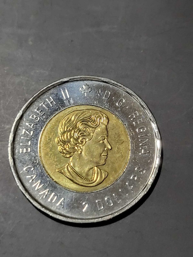 2017 Vimy Toonie - photo 2