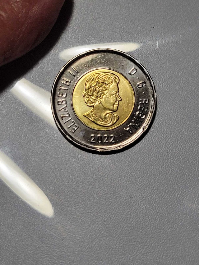 2022 Black Toonie - photo 2