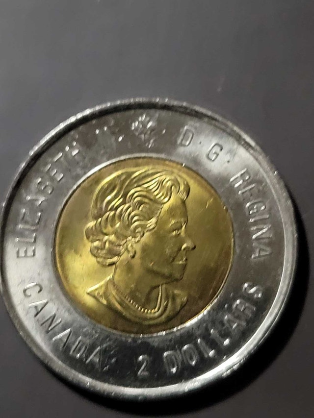 2021 Insulin Toonie - photo 2