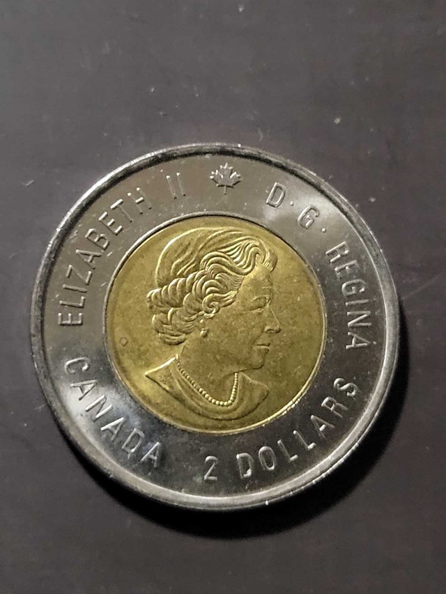 Colourized 2020 Toonie - photo 2