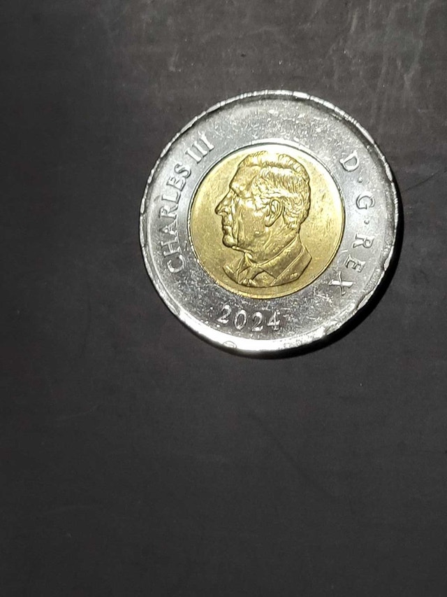 2024 Toonie - photo 2