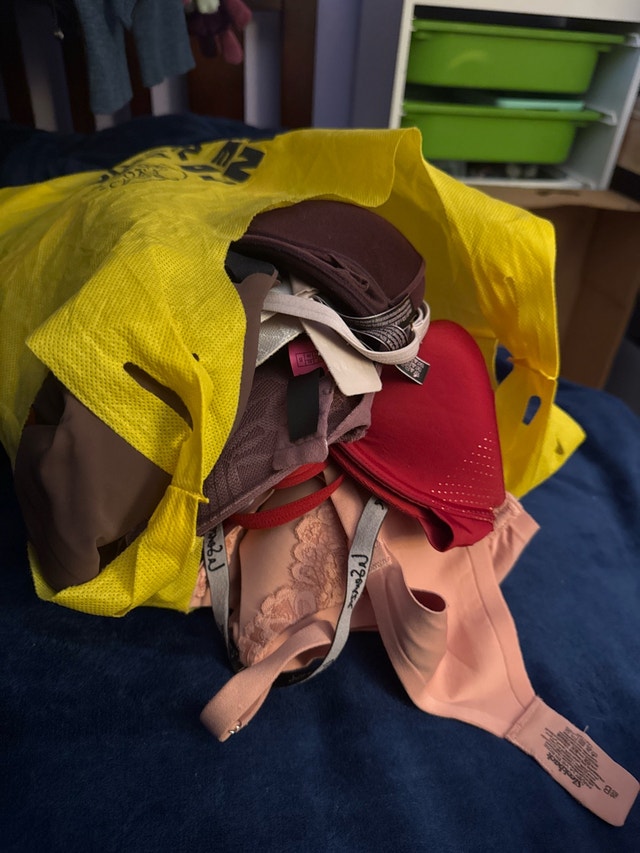 Bag of Bras - Sizes 36 & 38 B