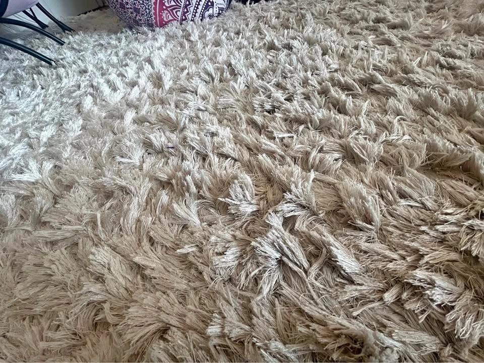 Safavieh Beige Shag Rug 8’x9’11”