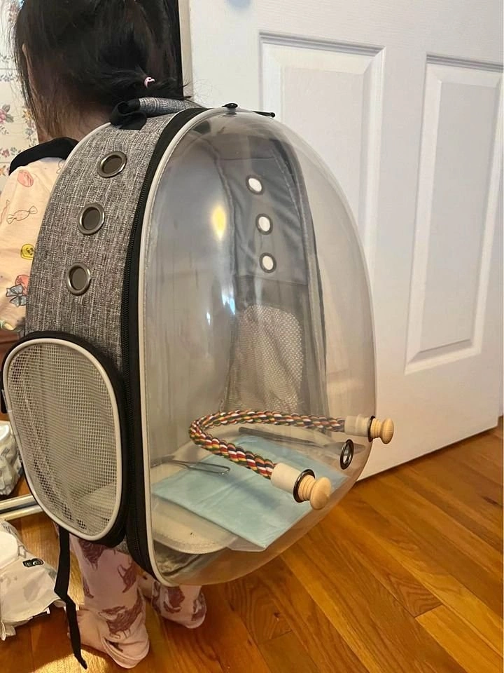 Pet Carrier Backpack for Birds/Small Pets (14x12x10")
