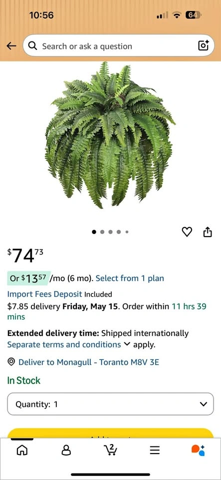 Fake fern