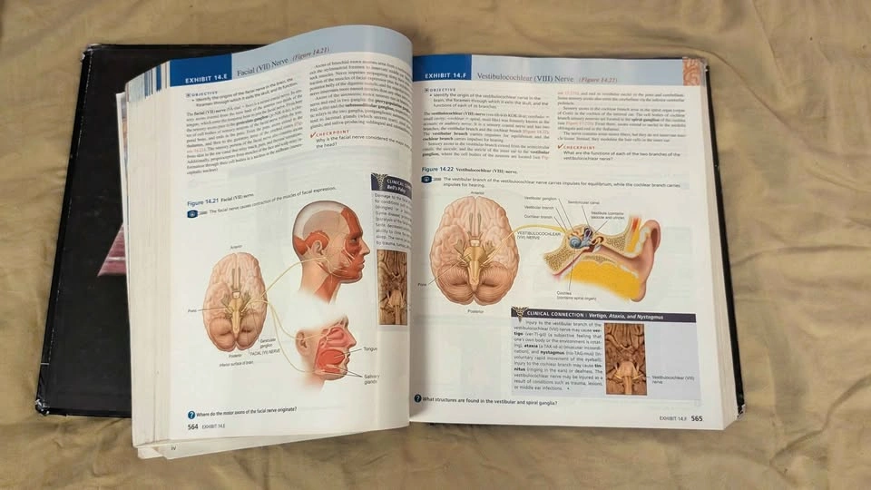 Tortora Anatomy & Physiology 13th Ed - Bargain for Nursing/MOA - photo 4
