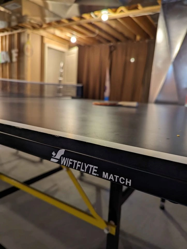 Table Tennis - photo 5