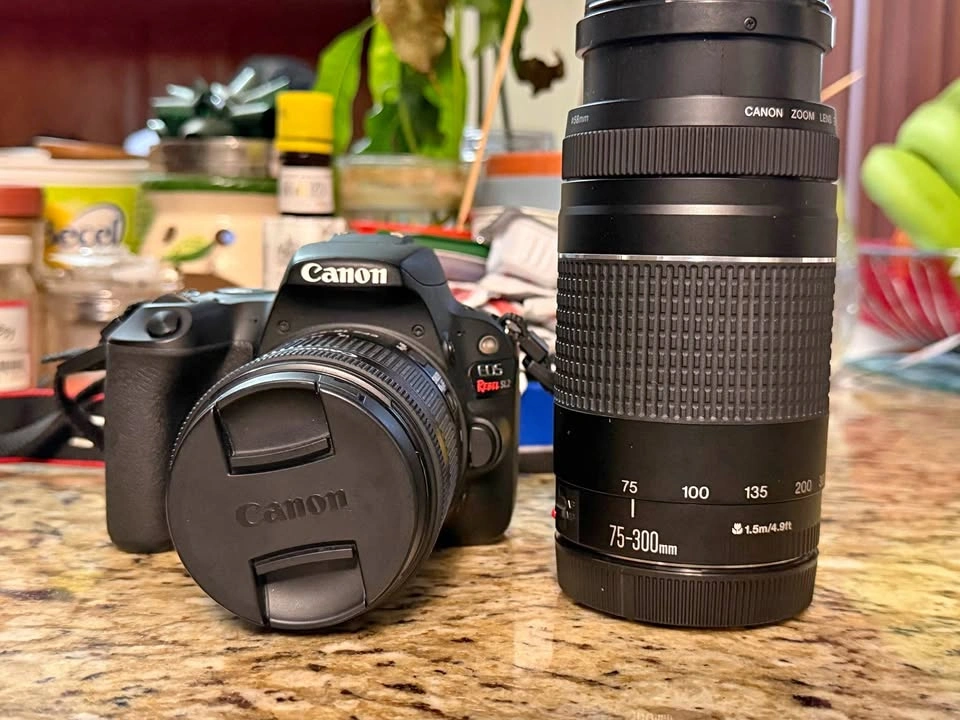 Canon EOS Rebel SL2 DSLR Camera w/ 18-55mm & 75-300mm Lenses & S