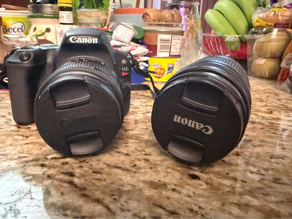Canon EOS Rebel SL2 DSLR Camera w/ 18-55mm & 75-300mm Lenses & S - photo 3