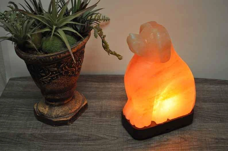 Himalayan Salt Lamps - photo 5