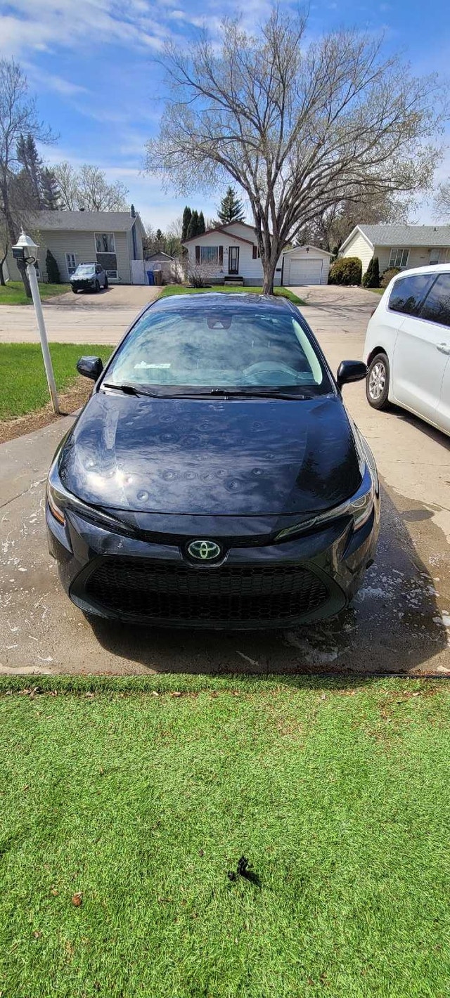 Affordable Car Detailing - photo 4