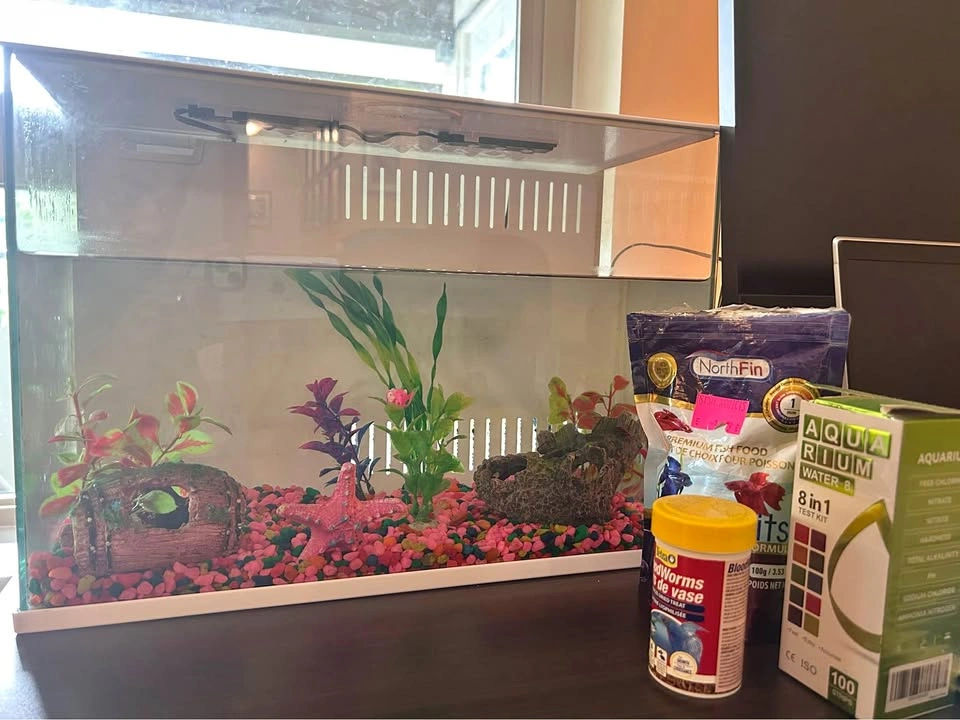 Fish tank with all accessories