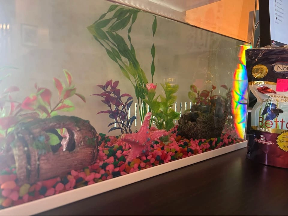 Fish tank with all accessories - photo 2