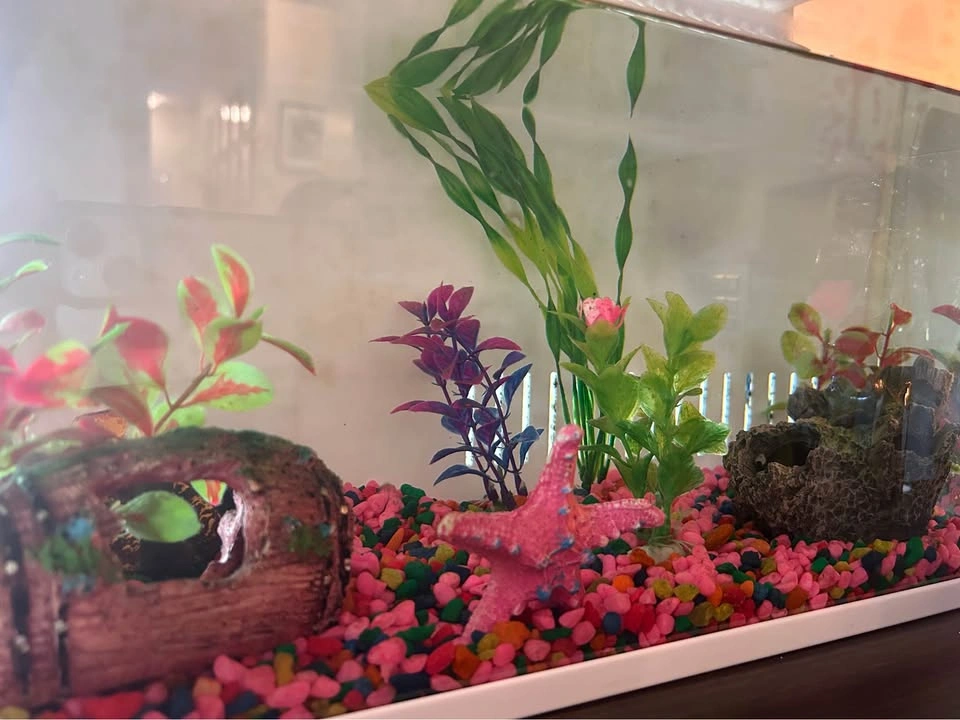 Fish tank with all accessories - photo 3