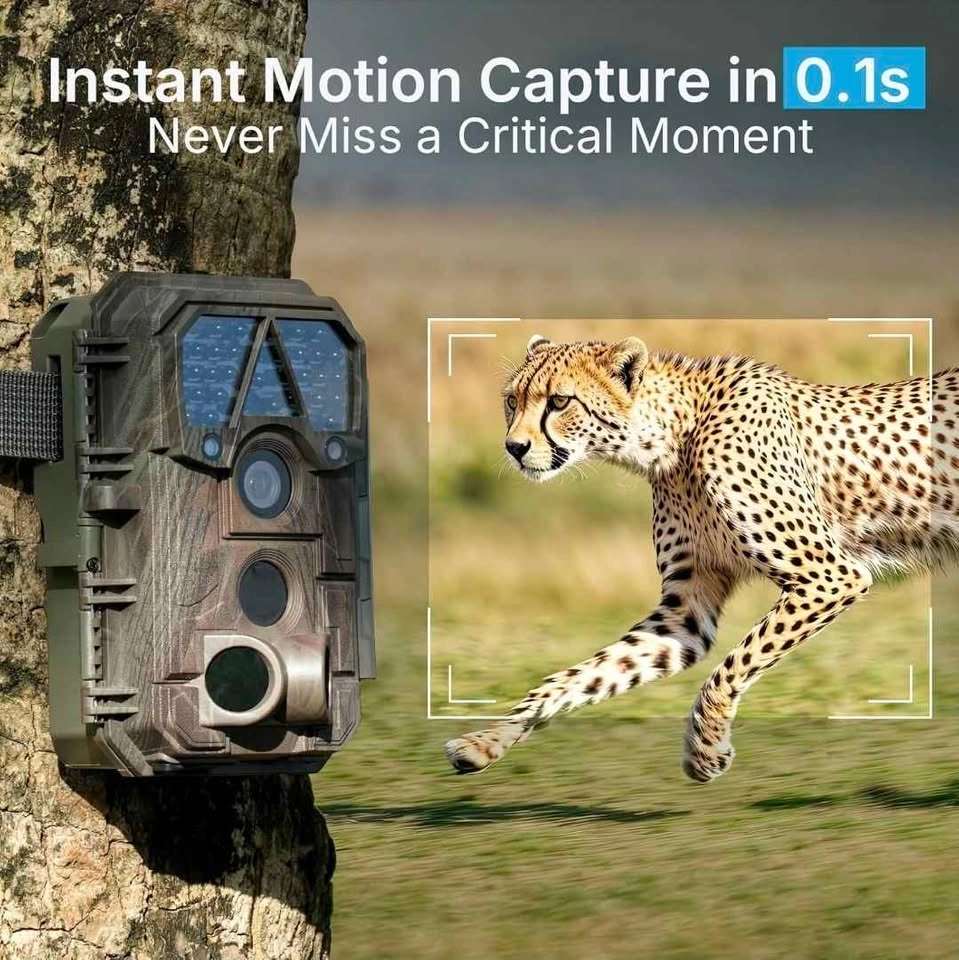 Meidase P70 Trail Camera - photo 5