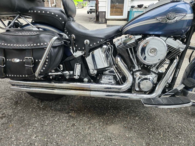 2003 Harley Heritage Softail 100th Anniversary - photo 3
