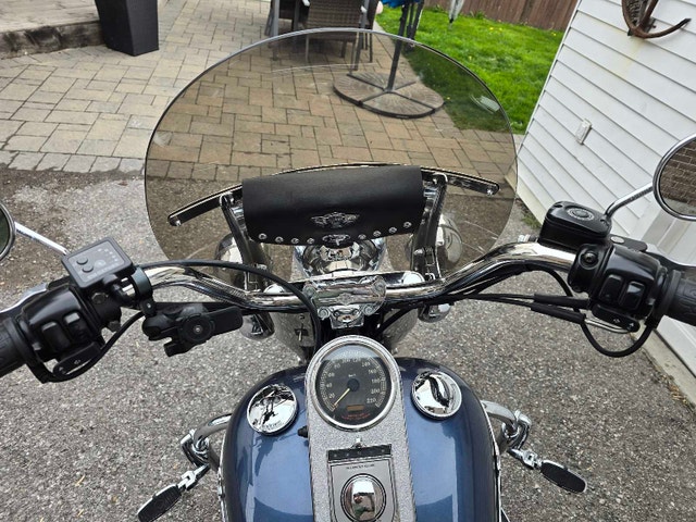 2003 Harley Heritage Softail 100th Anniversary - photo 5