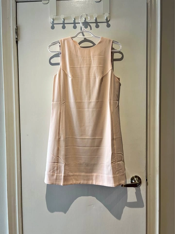 Pink A-Line Dress New with Tag (S)