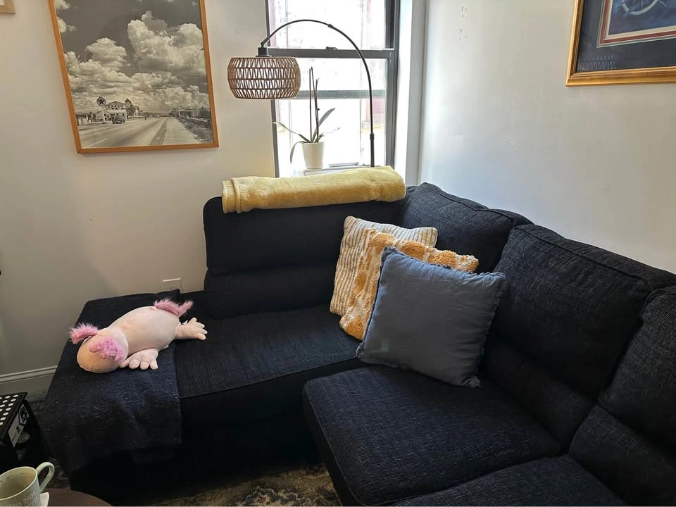 Large Sectional Couch - photo 4