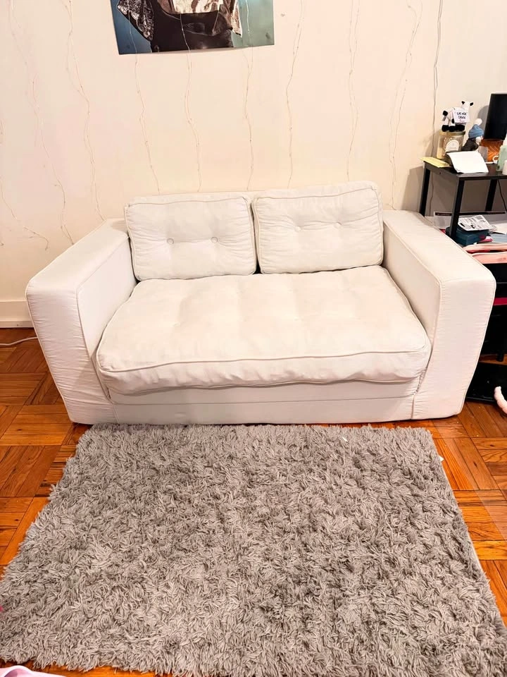 Love Seat Sleeper