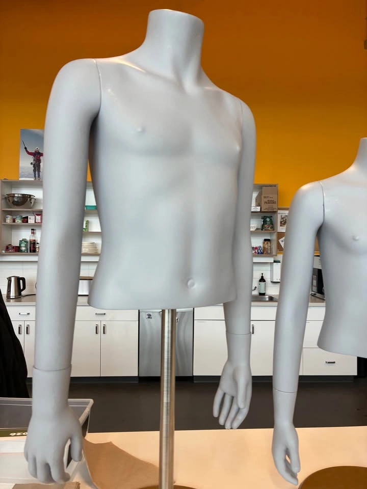 2 Mannequin Torso Youth - photo 2