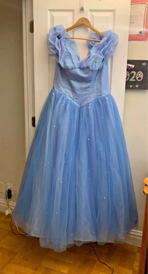 Cinderella Inspired Hand Made Dress