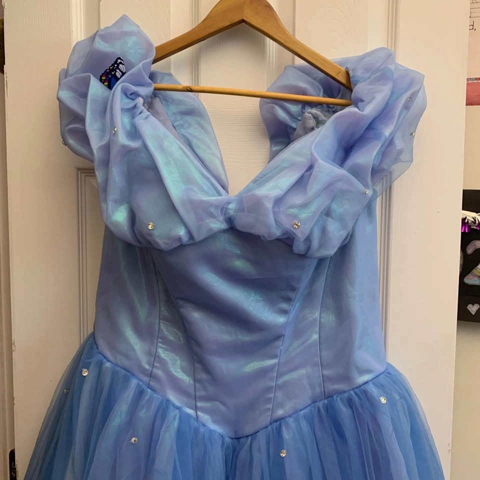 Cinderella Inspired Hand Made Dress - photo 2