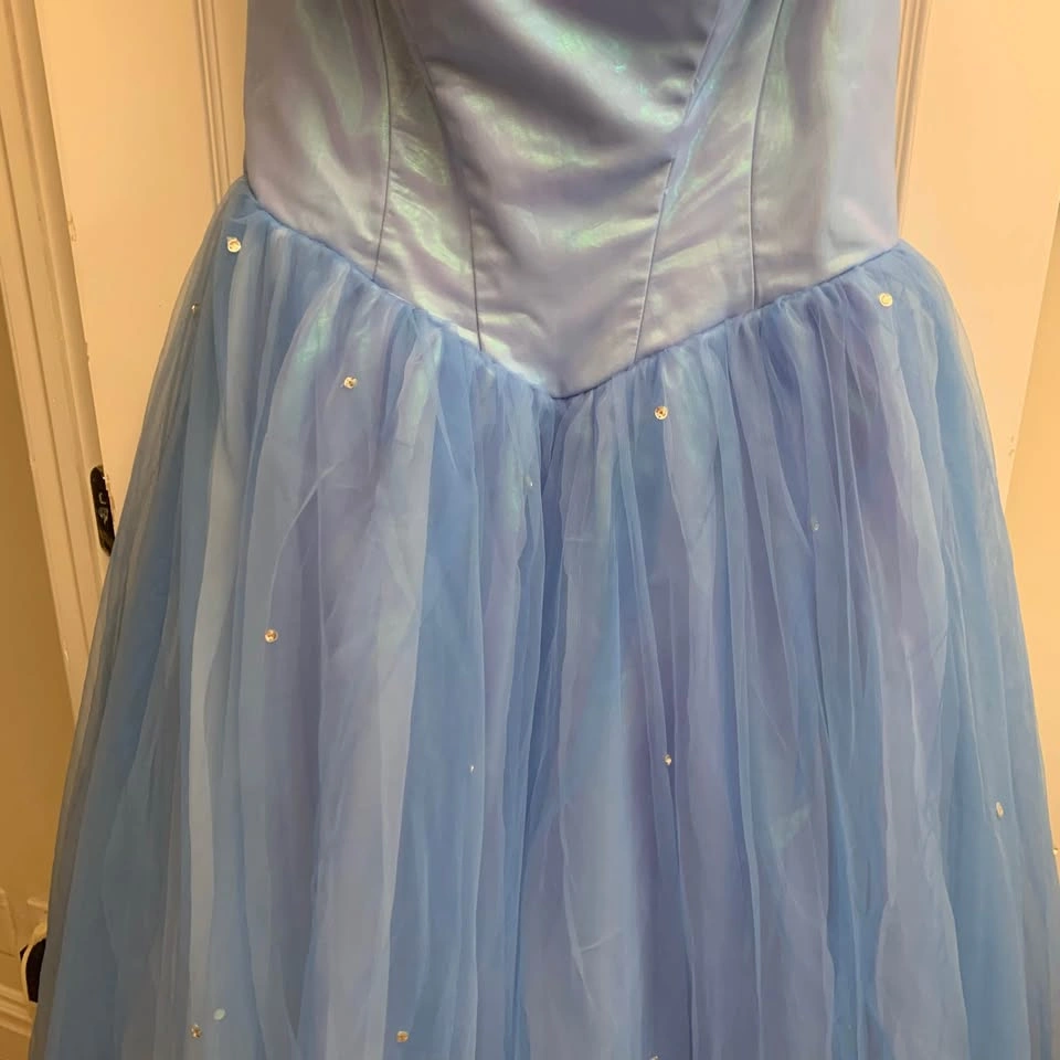 Cinderella Inspired Hand Made Dress - photo 3