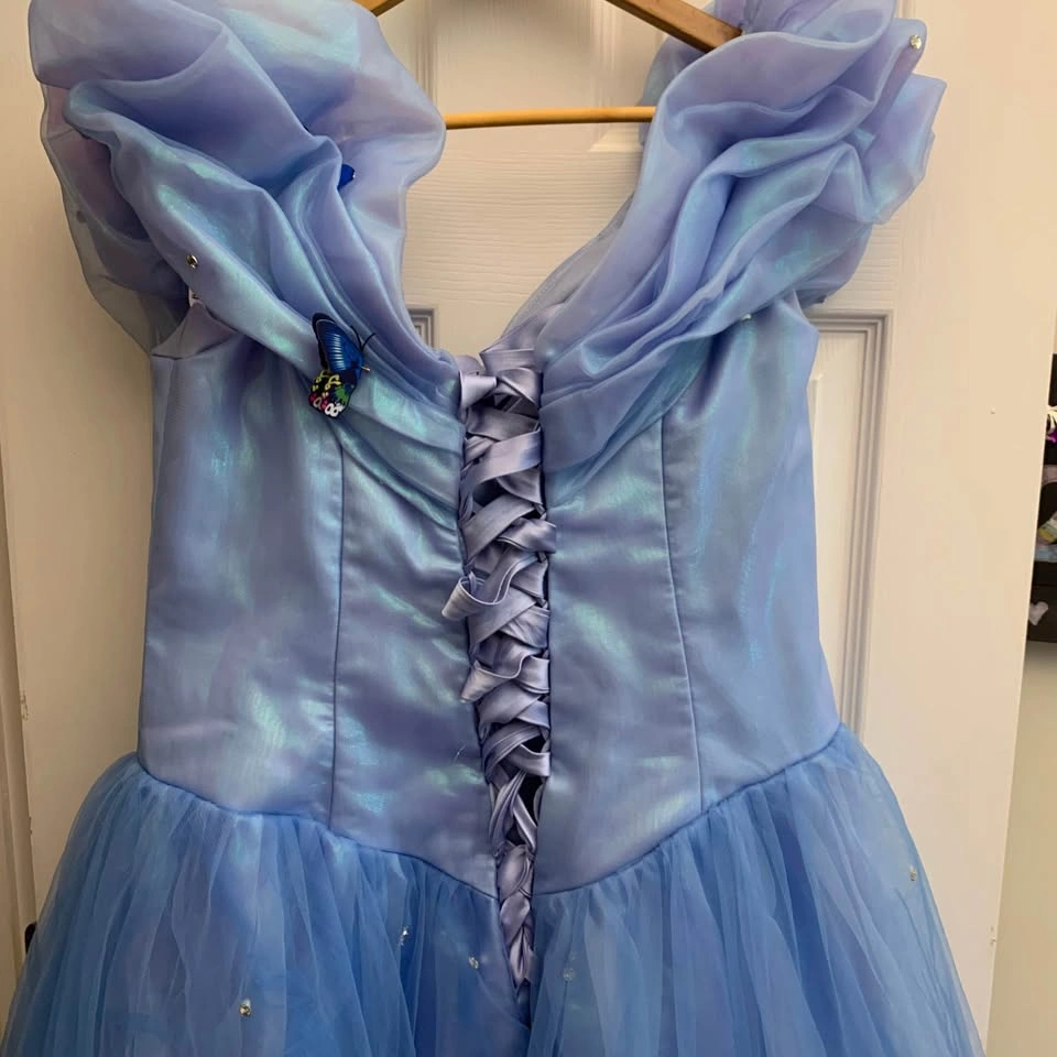 Cinderella Inspired Hand Made Dress - photo 4