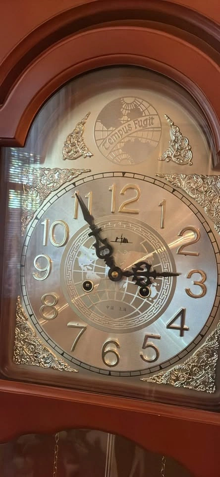 Tempus fugit grandfather clock - photo 2