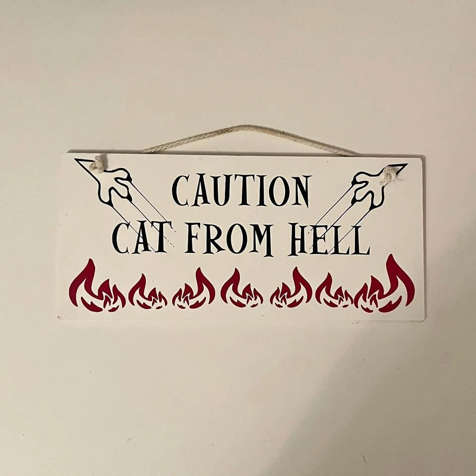 Funny Cat Sign