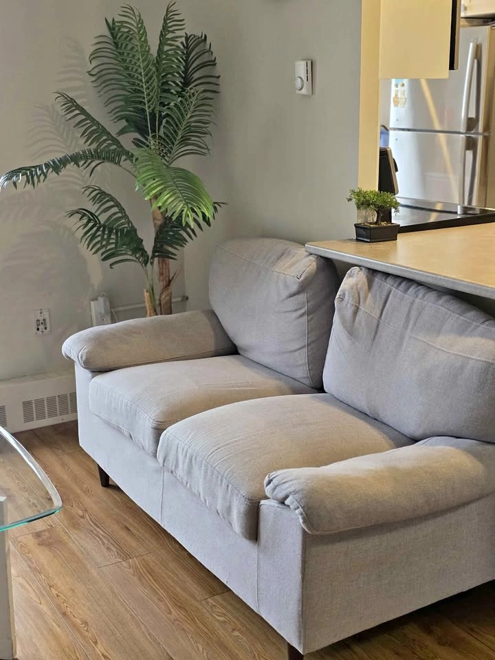 Light Gray Fabric Sofa Set - (Move out sale)