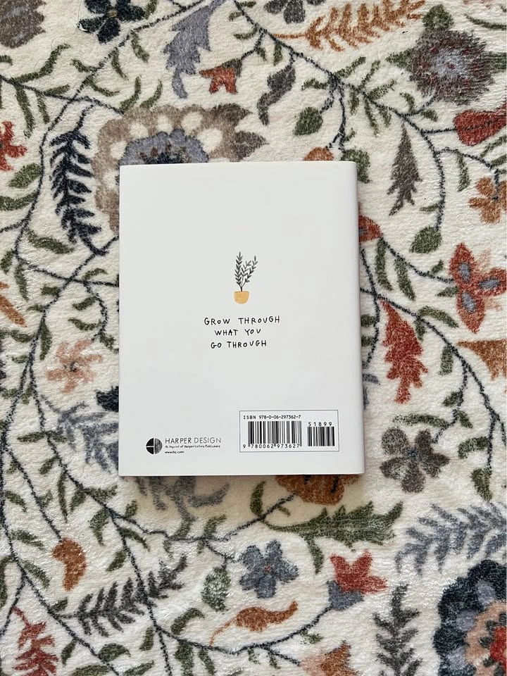 I Used to Have a Plan Book by Alessandra Olanow - photo 2