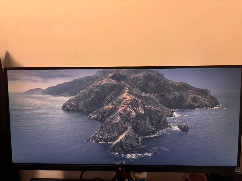 LG 29’ Ultrawide Monitor - NEED GONE ASAP - photo 2
