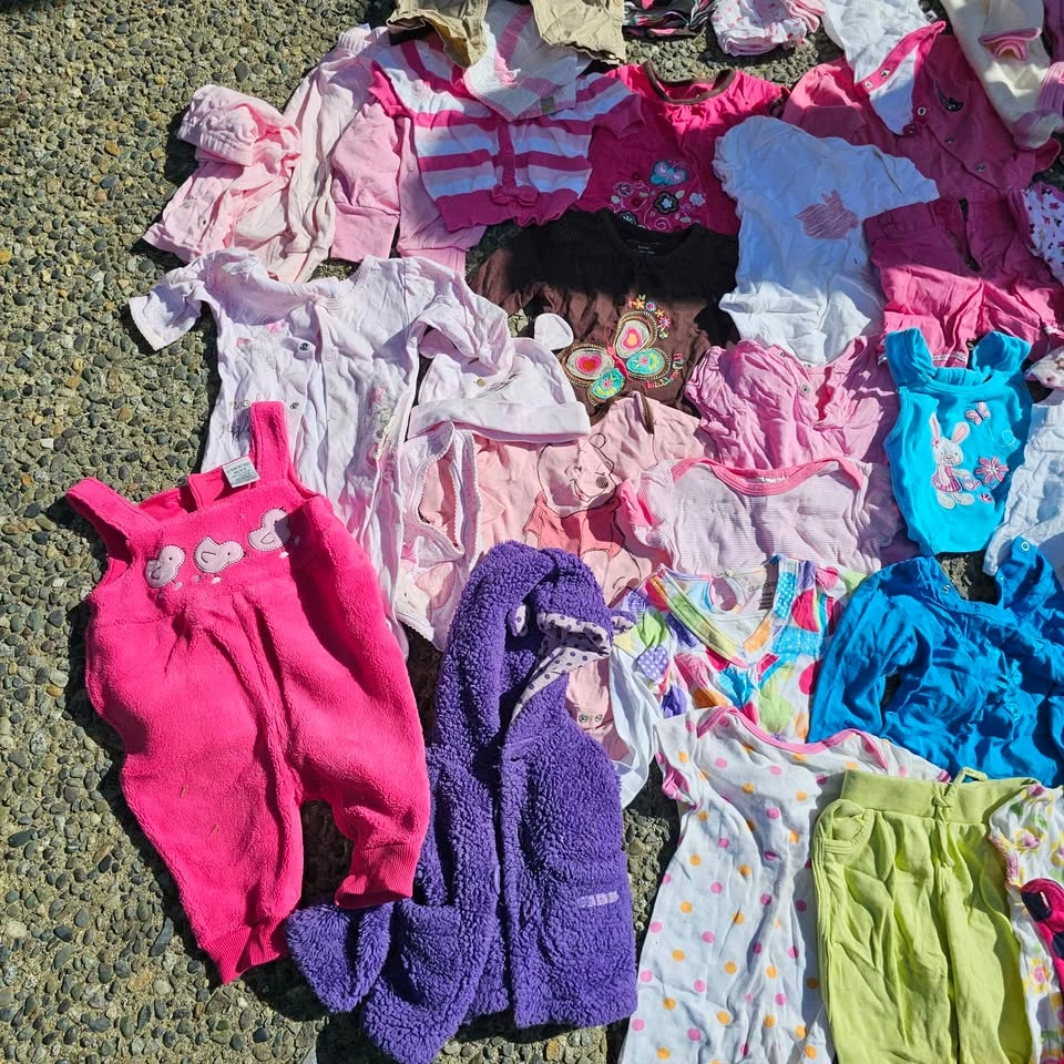 Huge Baby Girl Clothes Lot 3-6 Months - photo 2