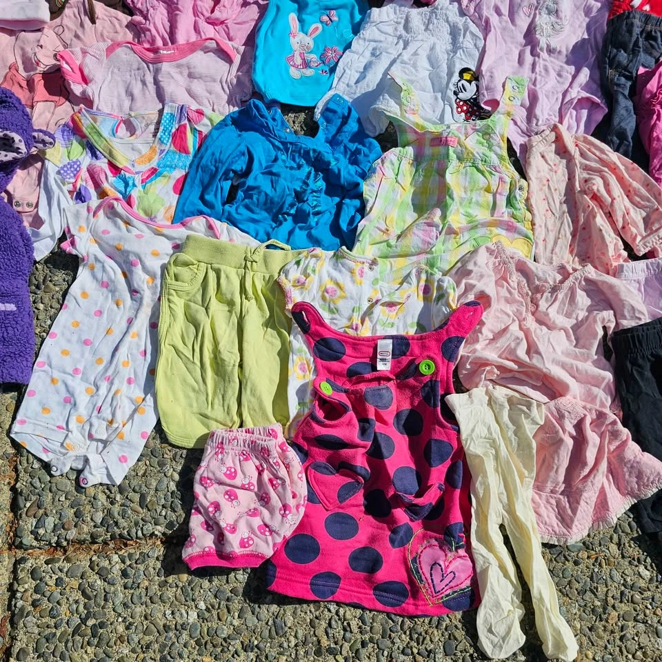 Huge Baby Girl Clothes Lot 3-6 Months - photo 3