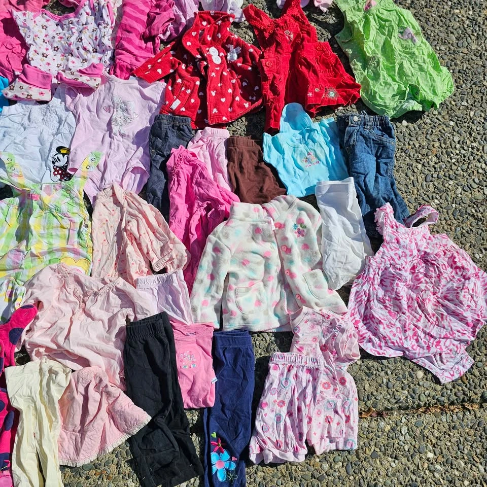Huge Baby Girl Clothes Lot 3-6 Months - photo 4
