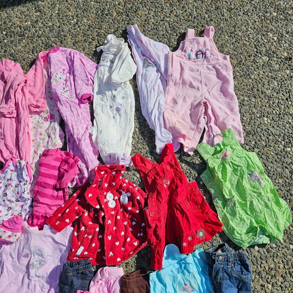 Huge Baby Girl Clothes Lot 3-6 Months - photo 5