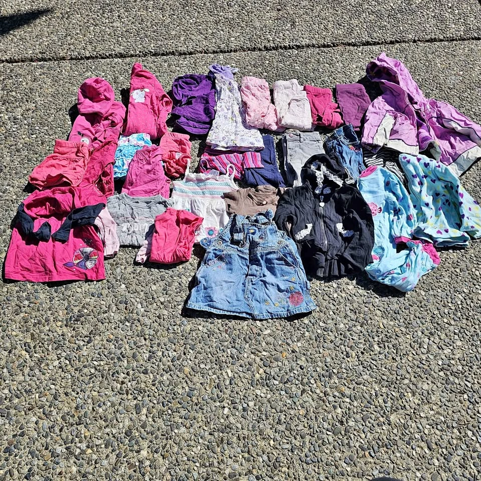 Baby Girl Clothes Lot (12 months) - Pink Purple Blue