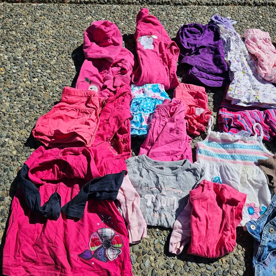 Baby Girl Clothes Lot (12 months) - Pink Purple Blue - photo 2