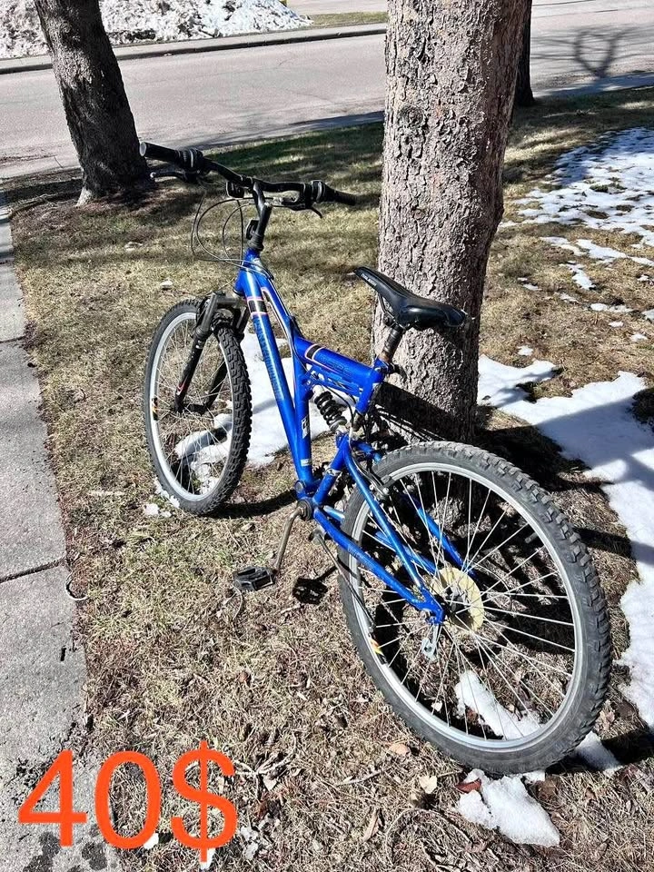 Harley Davidson Bike