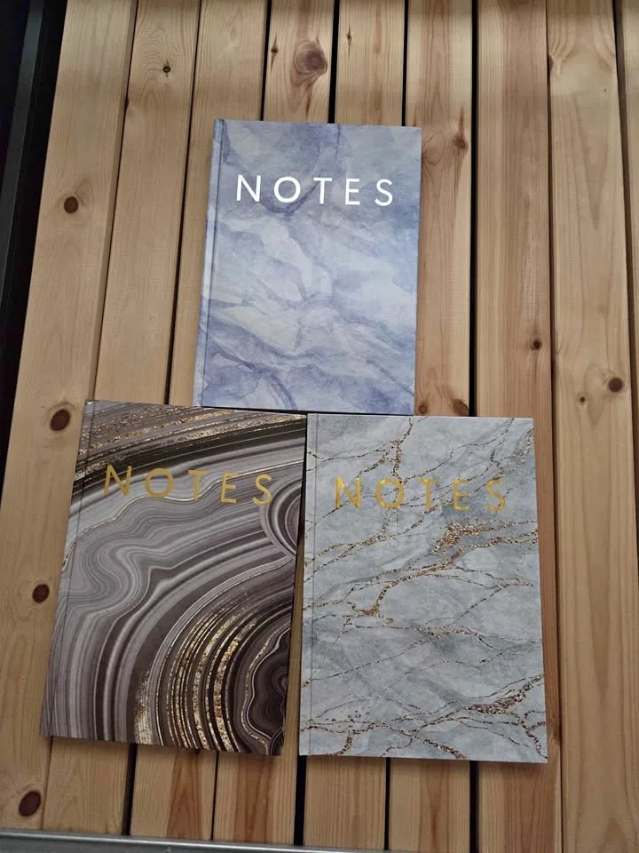 3 Large Dollarama Notebooks (New)