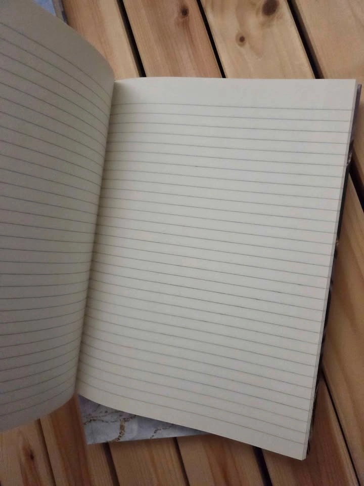 3 Large Dollarama Notebooks (New) - photo 3