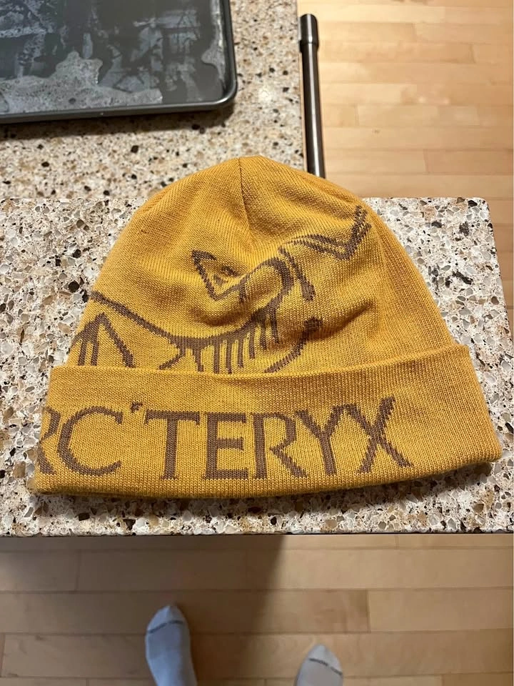 Arc'teryx Toque