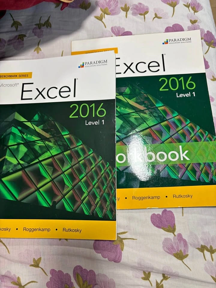 Excel 2016 Level 1 Textbook and workbook