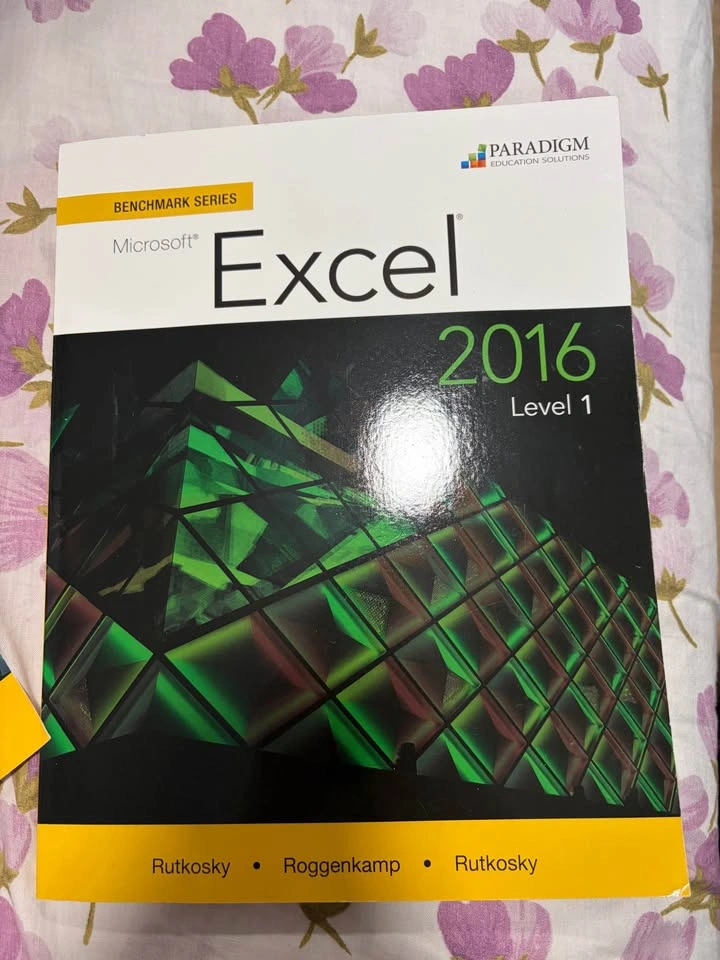 Excel 2016 Level 1 Textbook and workbook - photo 2